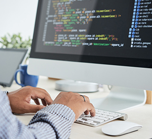 best website designing & development company in meerut